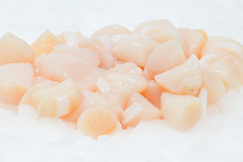 bay scallops on ice
