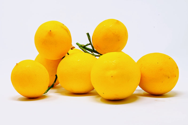 meyer lemons