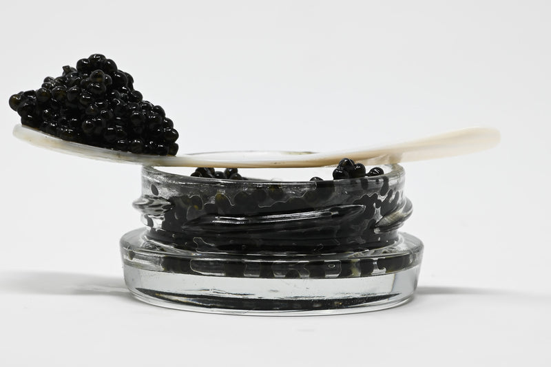 Classic White Sturgeon Caviar-1 ounce