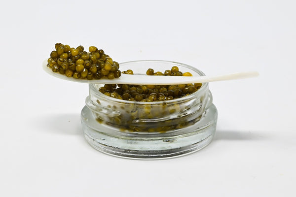 russian golden osetra on mother of pearl caviar spoon