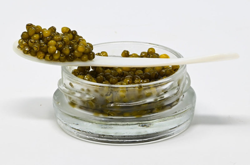 kaluga caviar