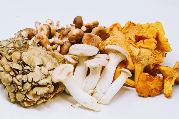 Fresh Mushroom Medley
