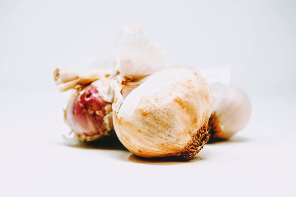 Organic Garlic