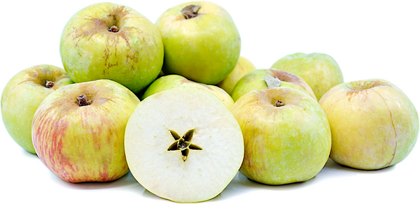 Gravenstein Apples (Organic) - 1 lb