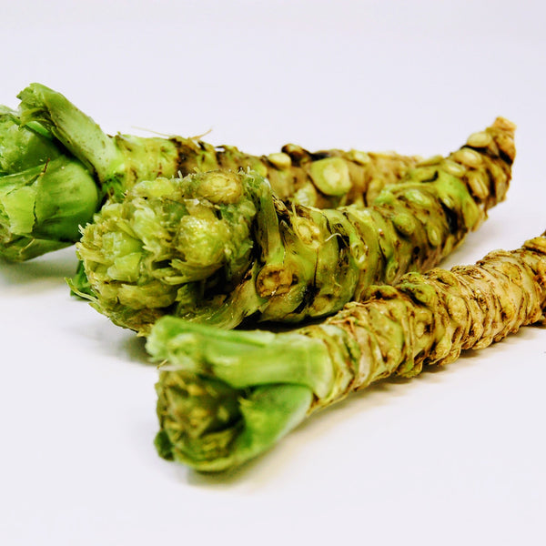 buy wasabi plants Wasabi Root
