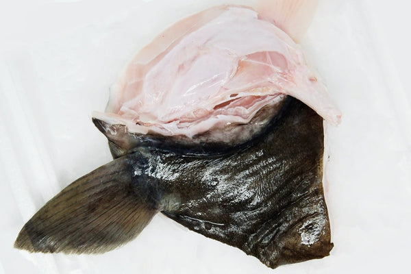 Halibut Collars - 1 lb