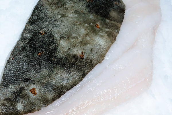 Plaice (Spotted English Flounder) Fillet - lb
