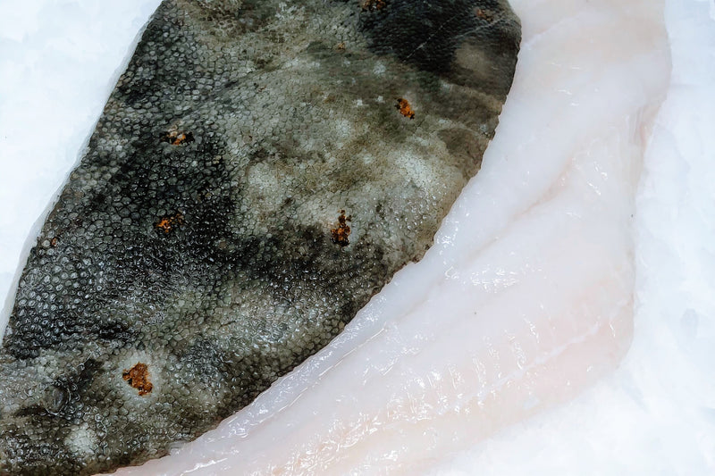 fresh plaice fillets on ice