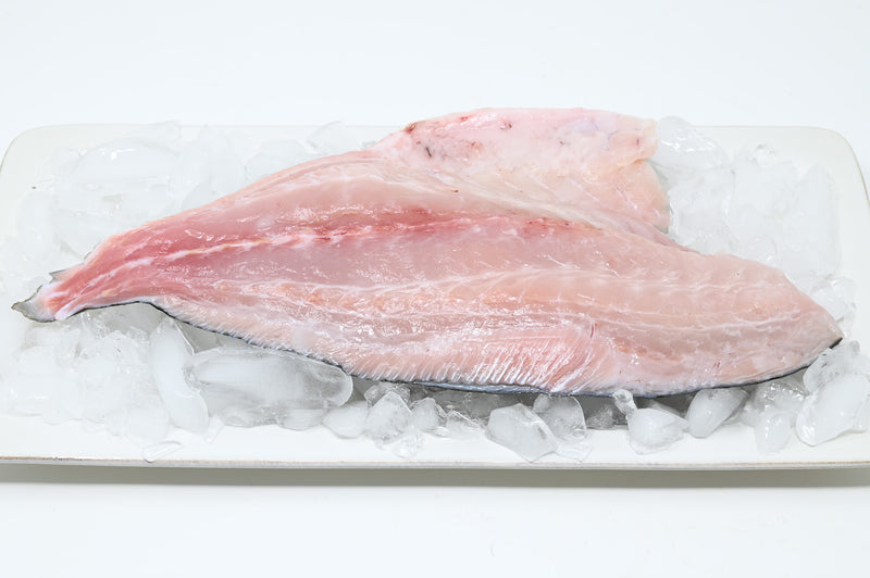 Kampachi Kampachi Fillet - 1lb – Four Star Seafood and Provisions