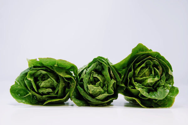 three bunches Little Gem Lettuce