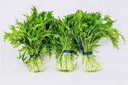 Mizuna Bunch Organic