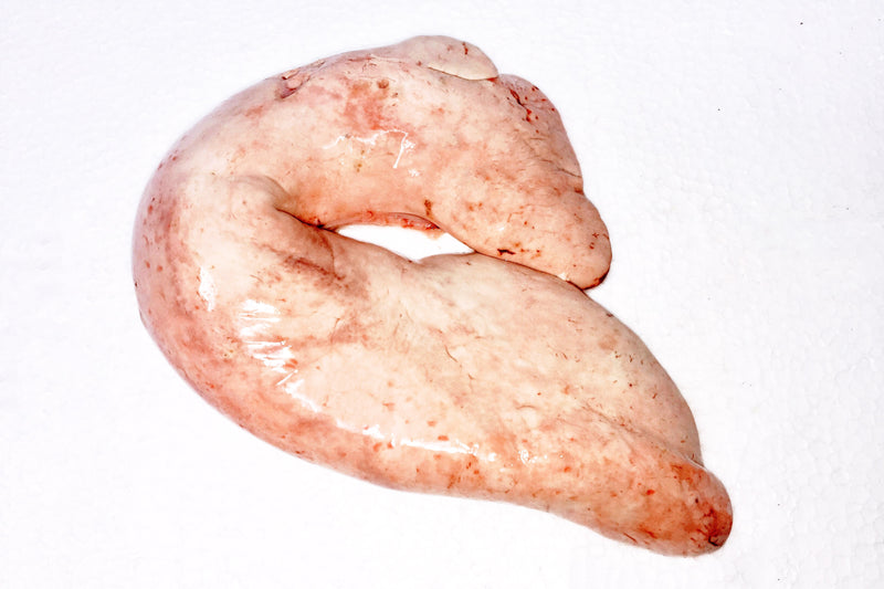 Monkfish Liver (Ankimo) lb Four Star Seafood and Provisions