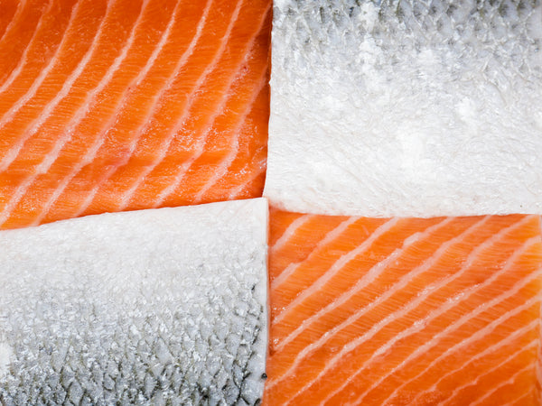 King Salmon Fillet by the Pound
