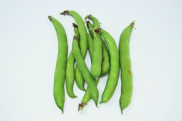 Fava Beans - 1lb