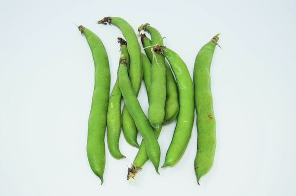 Fava Beans (Organic) - 1lb