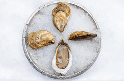 Acadian Pearl Oysters - 10 pc