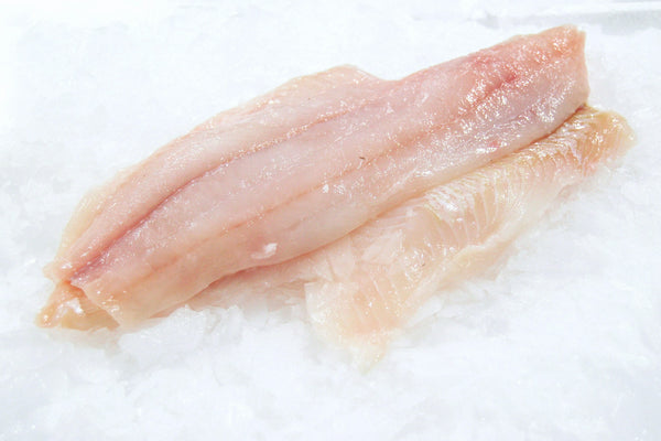 petrale sole fillet on ice