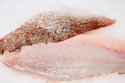 Red Sea Bream Fillets