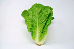 romaine head organic green