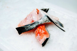 salmon collars on ice