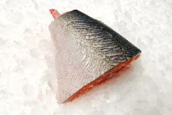 salmon shanks on ice
