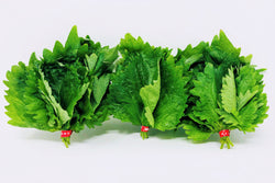 shiso leaf three bunches