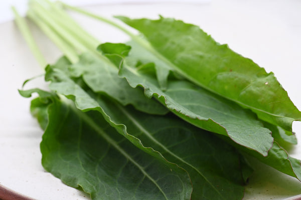 Sorrel (Organic)- 3 bu