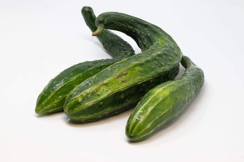 Suyo Long Cucumbers (Star Route Farms) - 1 lb