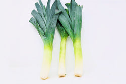 organic Tadorna Leek