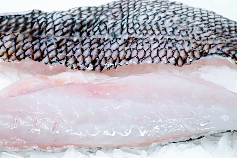 black sea bass fillets on ice