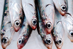 whole san francisco anchovies detail