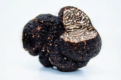 Australian Winter Truffles ~ 2 oz