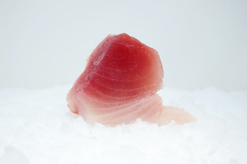 sushi grade albacore tuna steak on ice