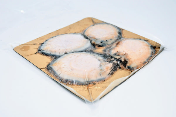 Abalone Steaks- 4 pack