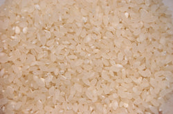 Short-Grain Koshihikari Sushi Rice - lb