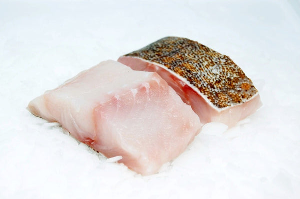 san francisco ling cod fillet on ice