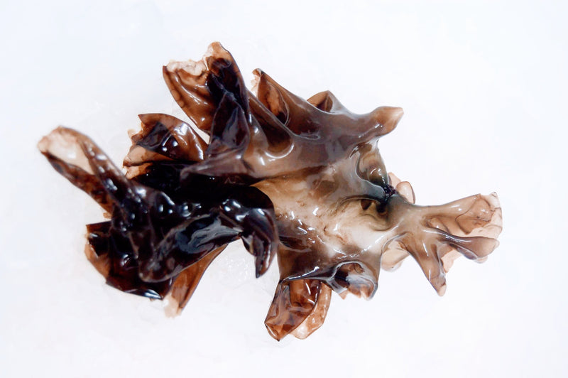 Monterey Bay Seaweeds Fresh Nori - 1/2 lb