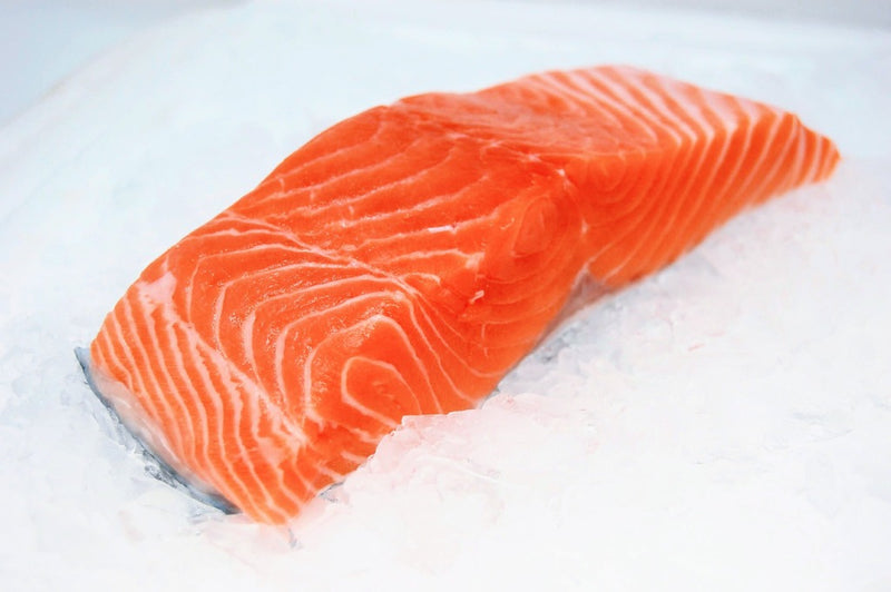 ora king salmon fillet on ice