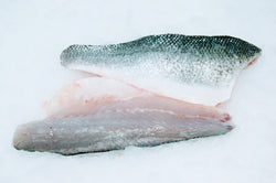 branzino fillets on ice