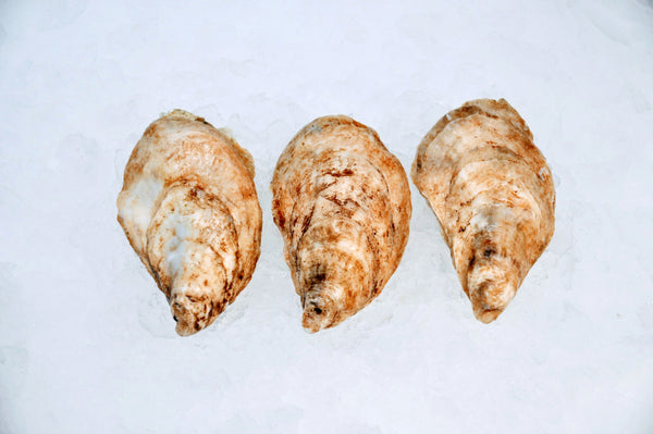 St. Simon Oysters - 10pc