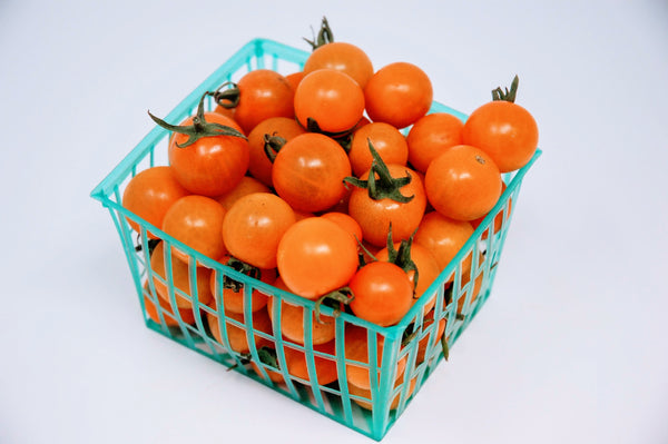 Sungold Cherry Tomatoes (Organic) - pint
