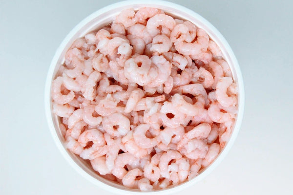 pink oregon bay shrimp meat cooked
