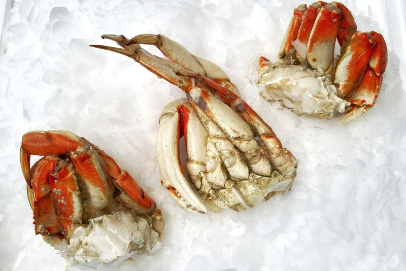 dungeness crab halves on ice