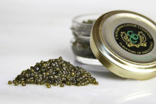 Paddlefish Caviar - 1oz