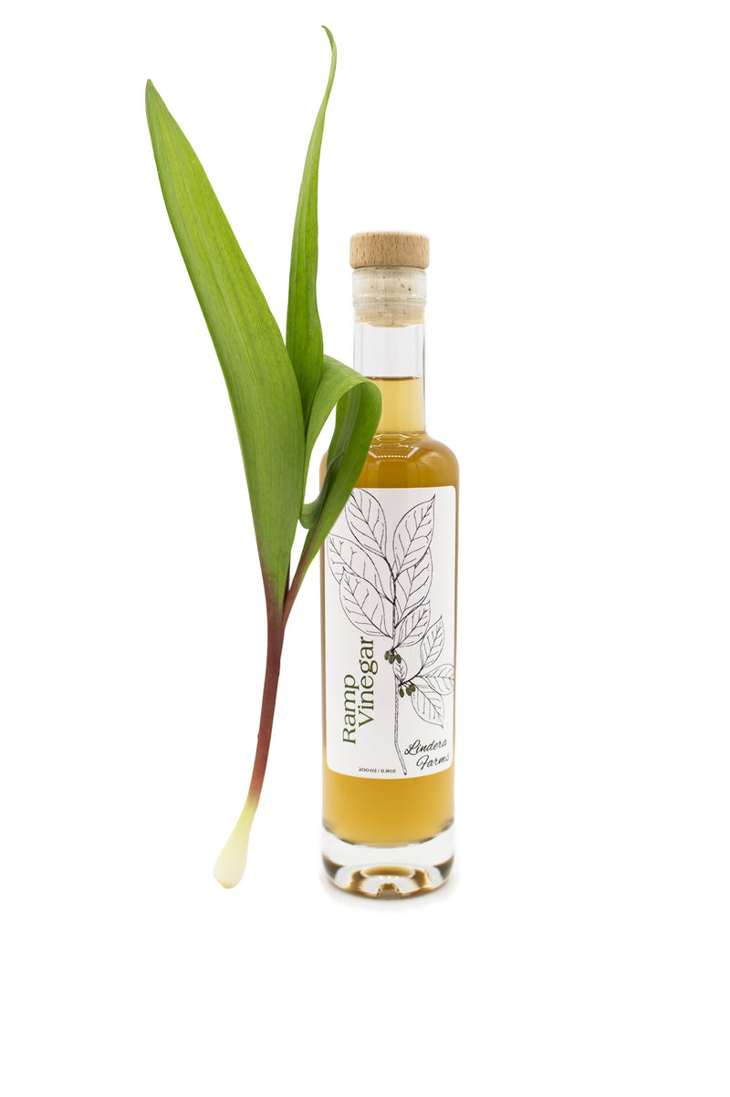 Lindera Farms Ramp Vinegar