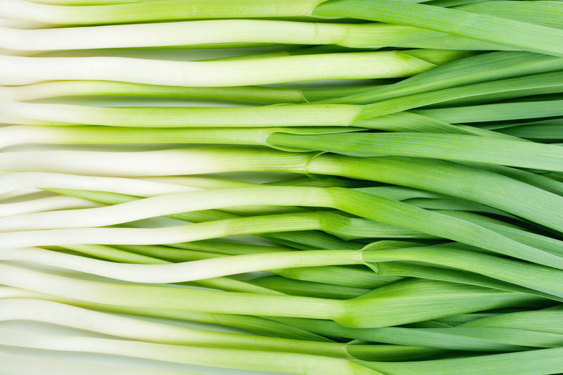 Green Garlic - 1/2 lb
