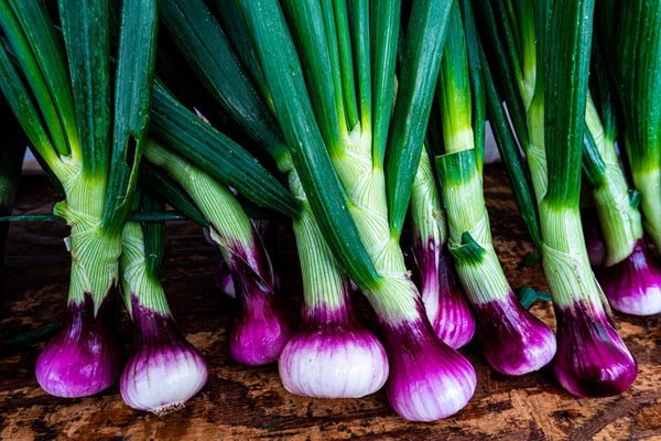 Red Spring Onions (Organic) - lb